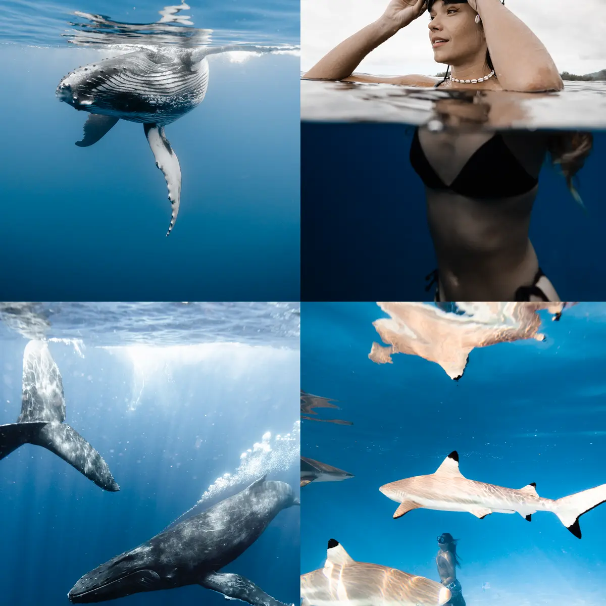 Lgc Photographer_Moorea Maiao