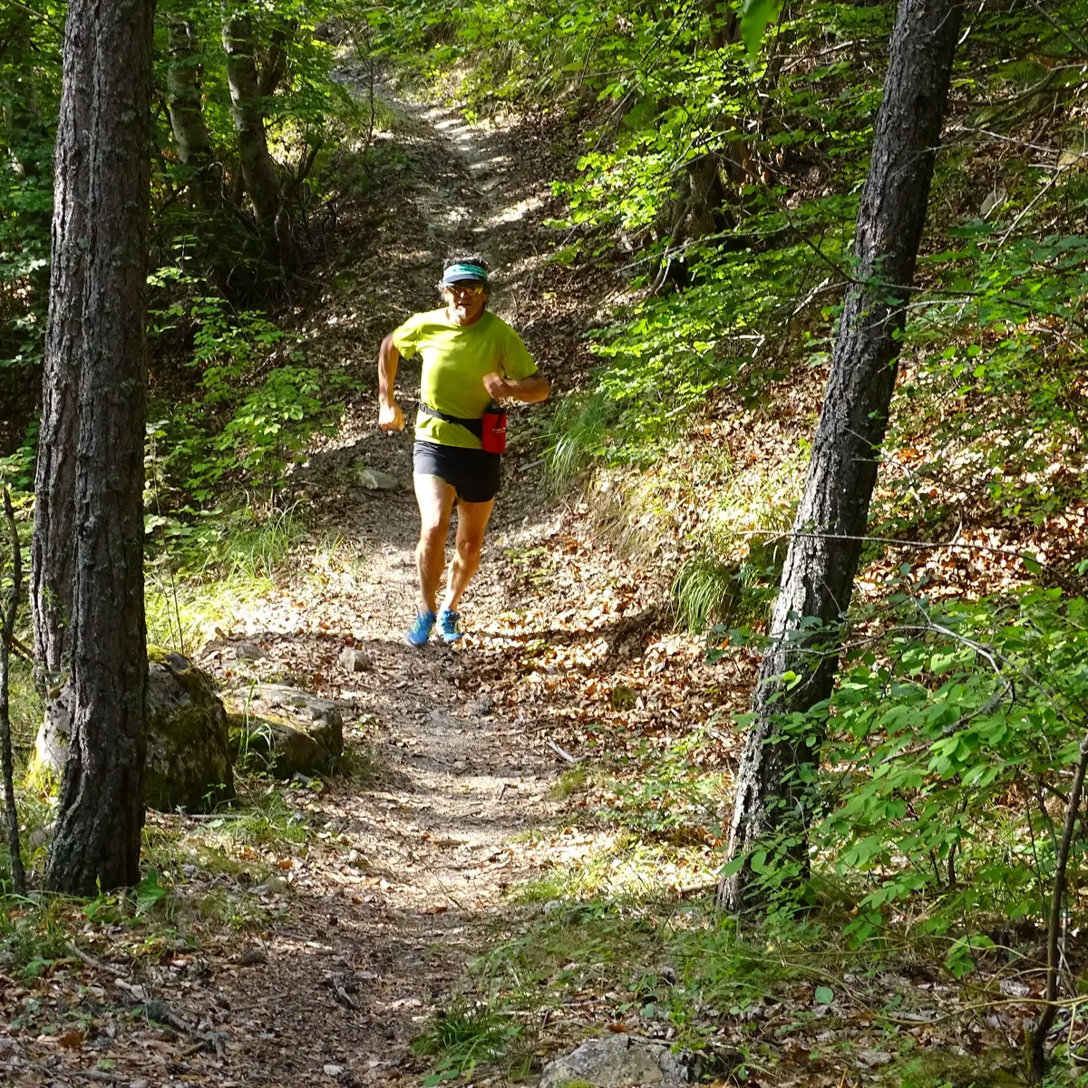 Descente en sous-bois