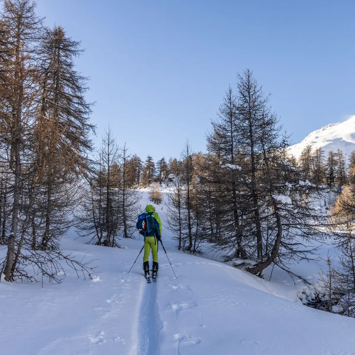 Montée au refuge buffère