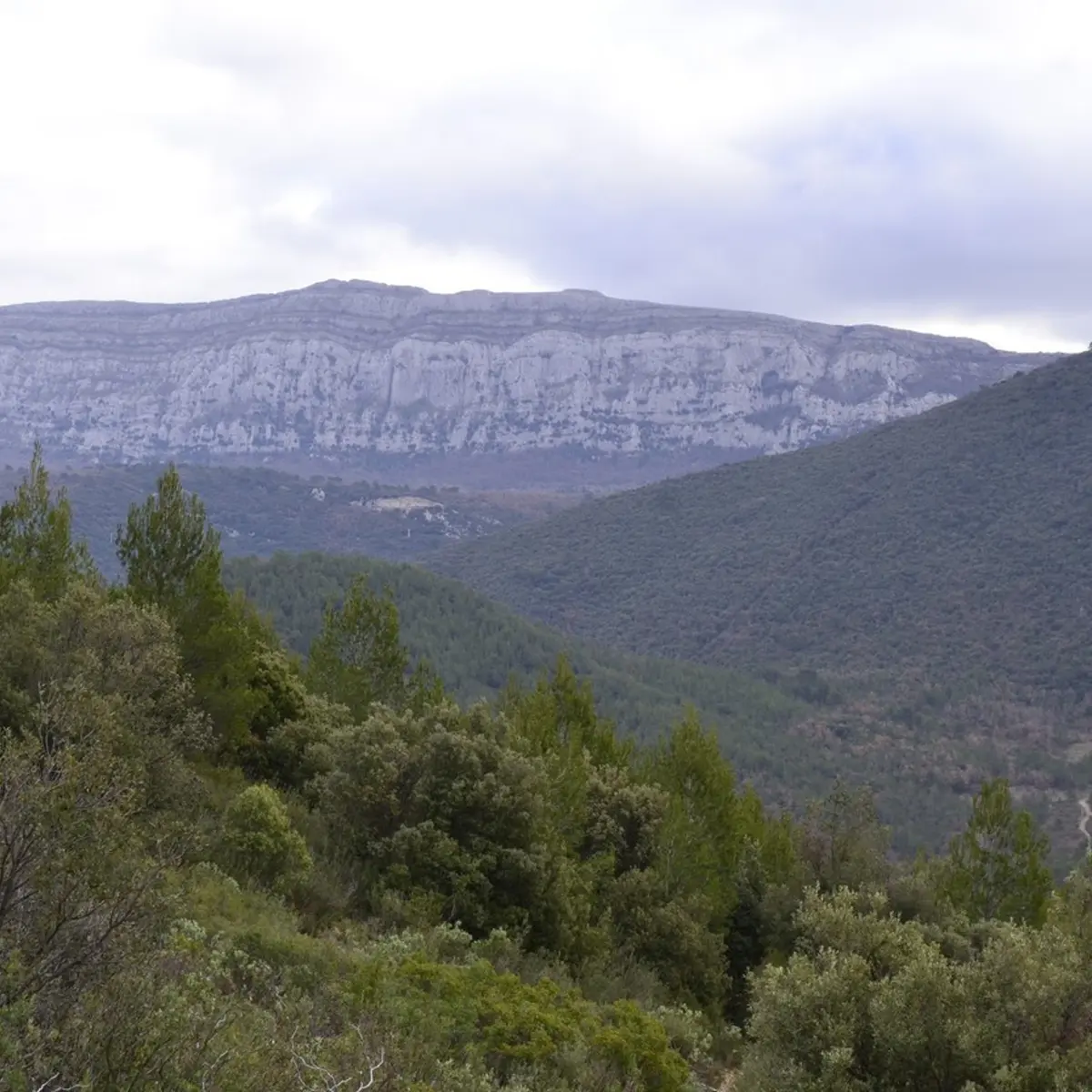 Vue de l'ubac de la Sainte-Baume