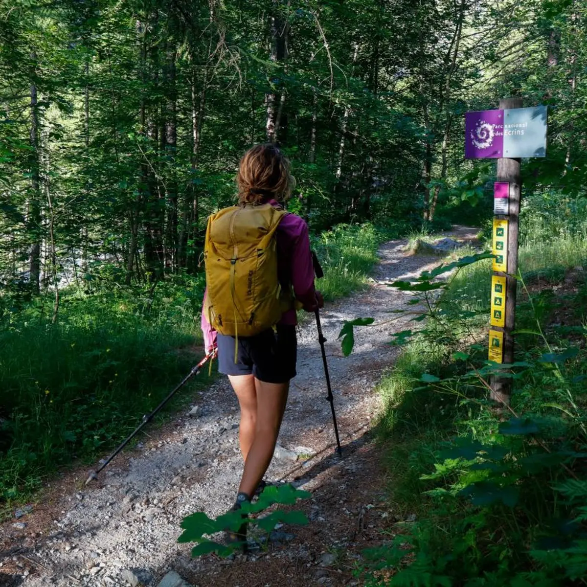 Au départ du sentier du Pelvoux