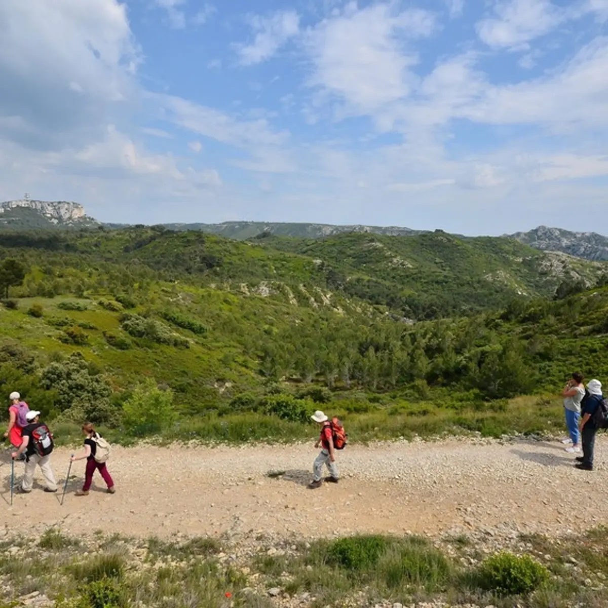 La Vallongue - Aureille