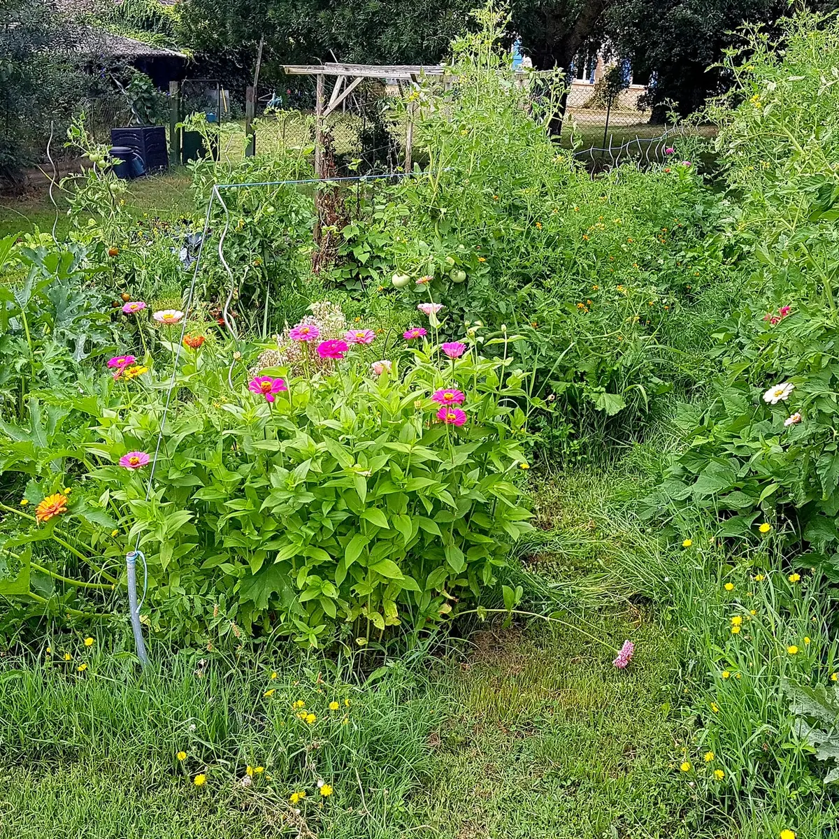 POtager Ferme du Breton
