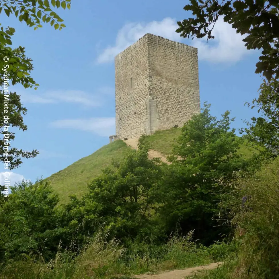 Autour de la tour d'Albon