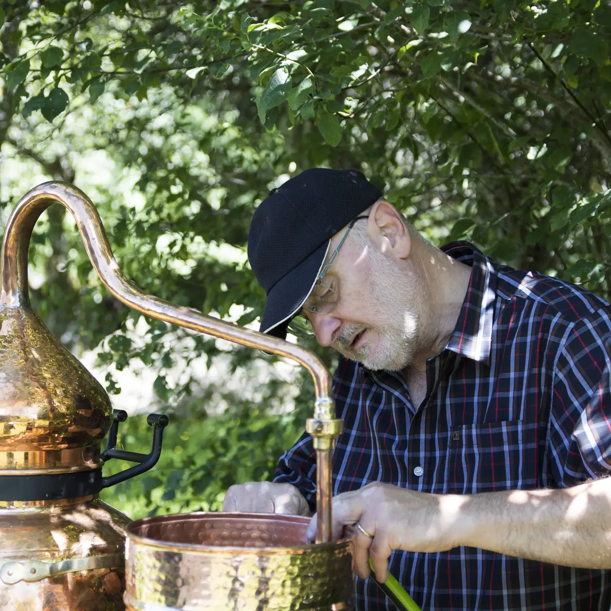 Atelier Découverte de la Distillation (hydrolats et huiles essentielles)_Habère-Poche