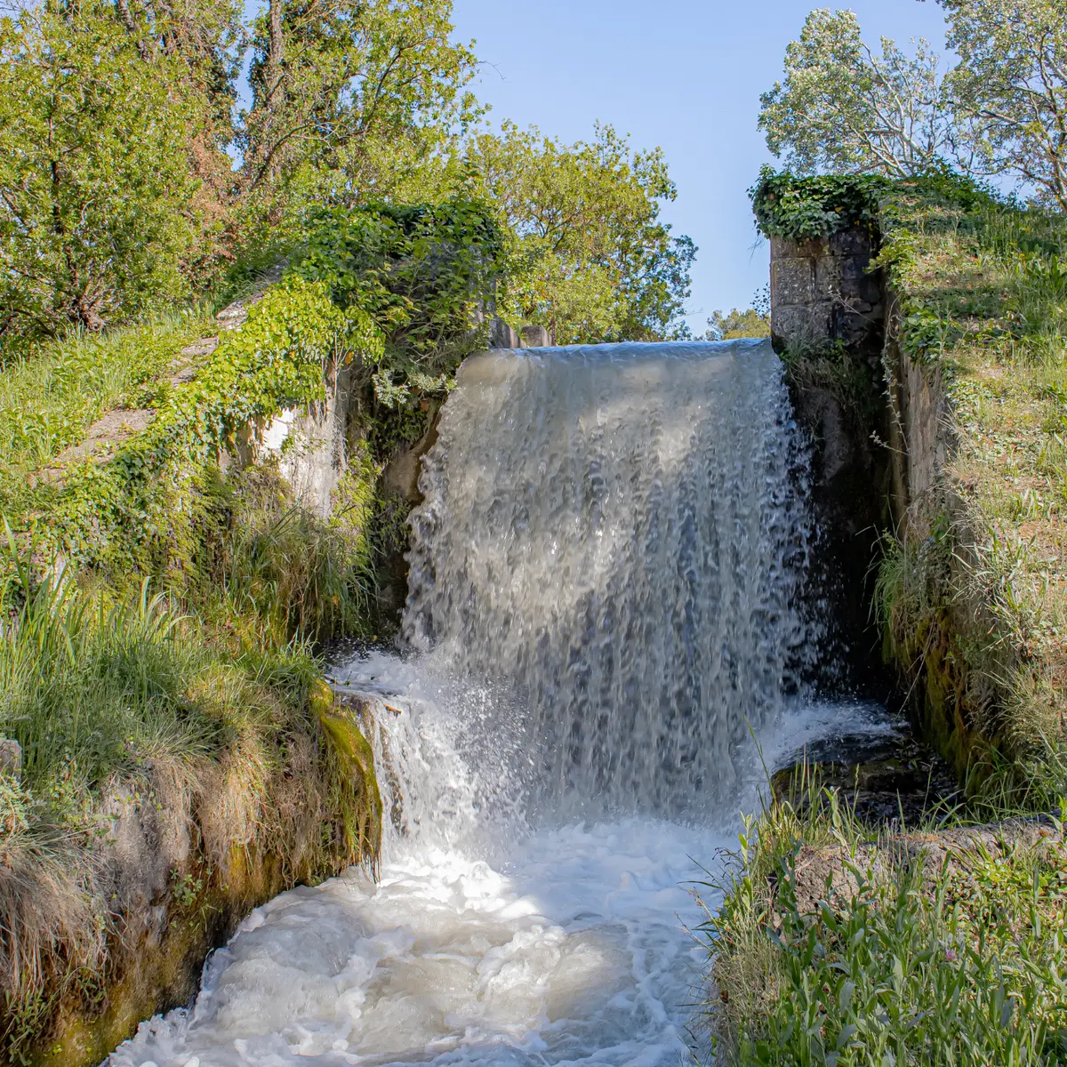 Le canal des Alpines_Mas-Blanc-des-Alpilles