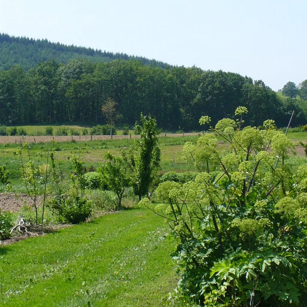 Sentier botanique