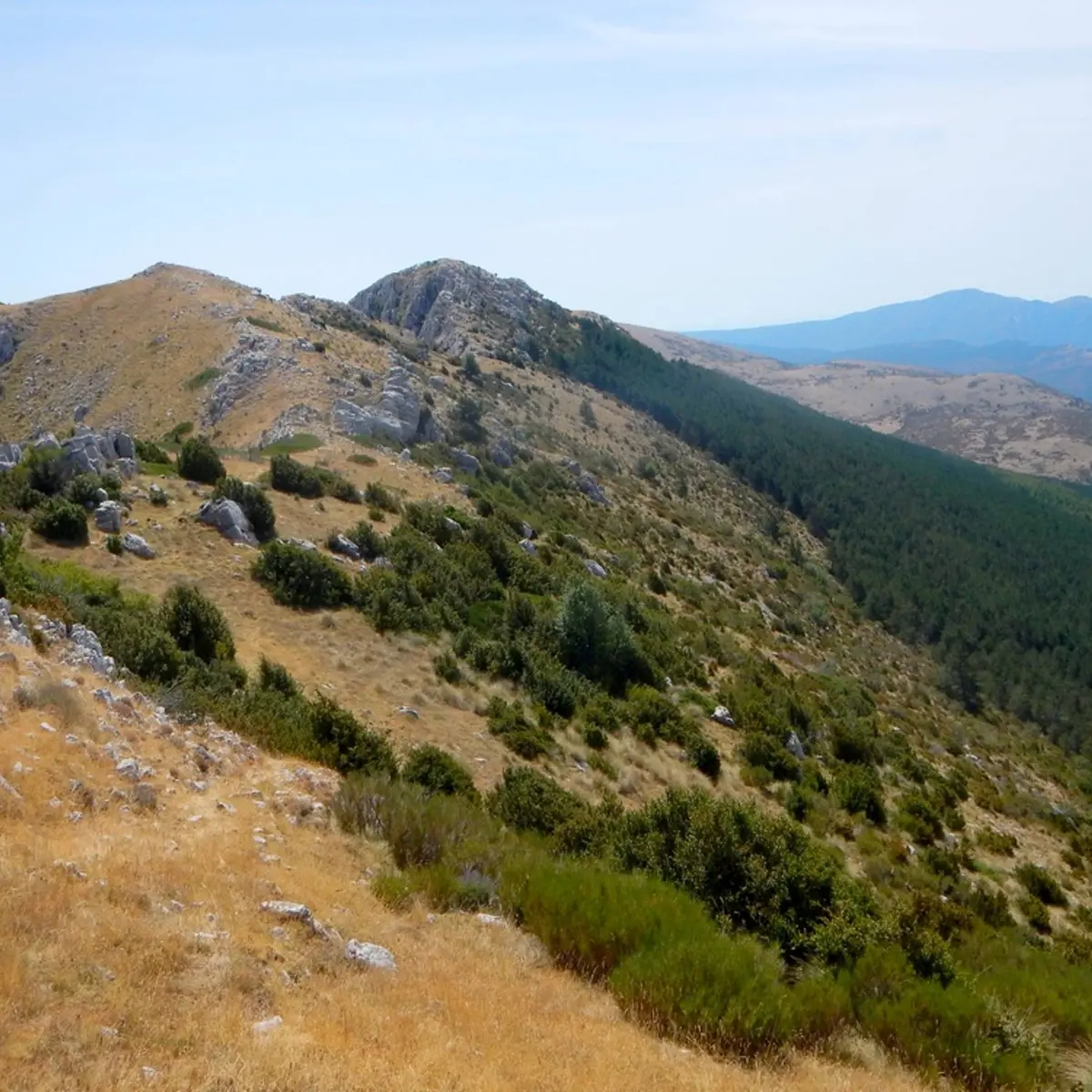 En cheminant sur les crêtes