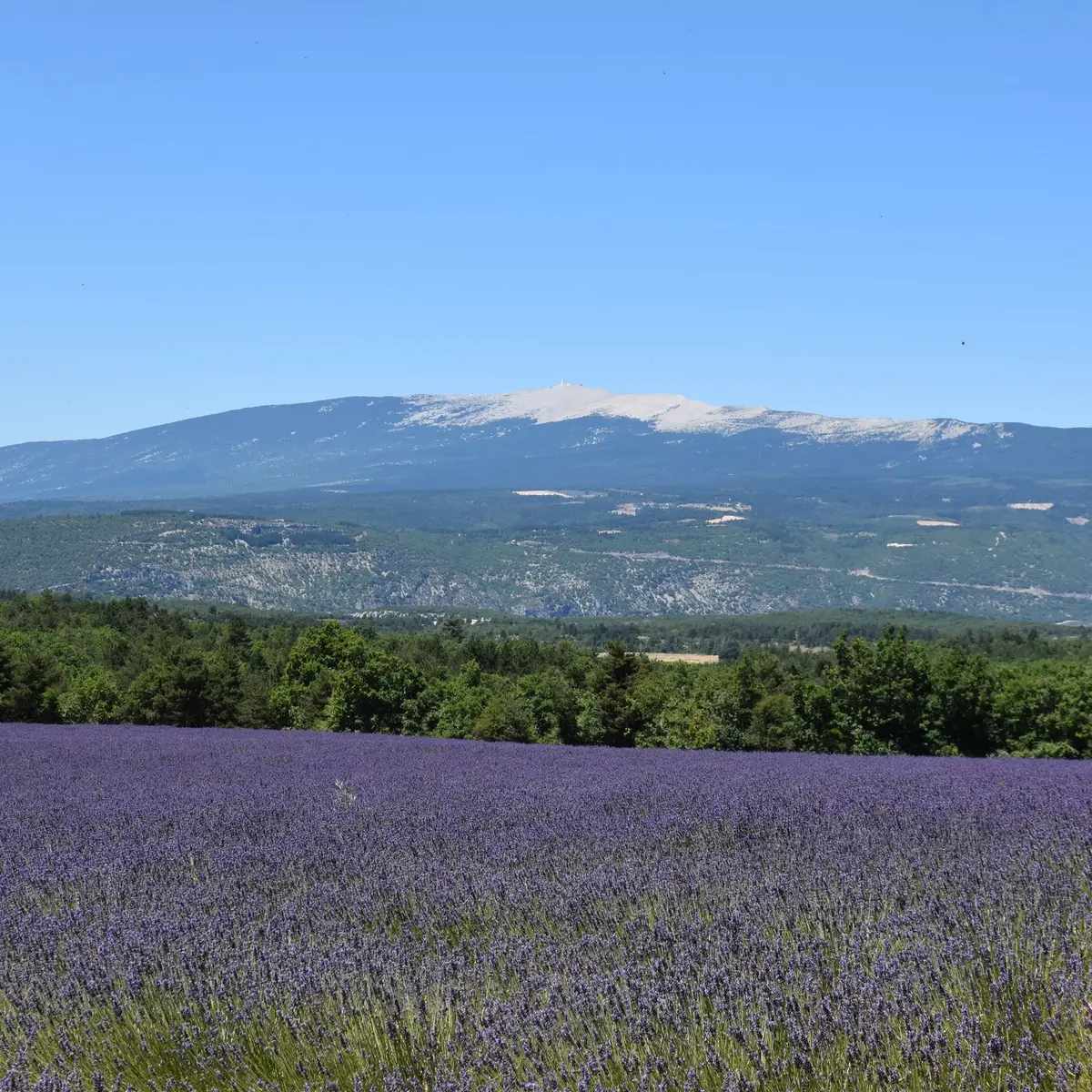 Vue Ventoux