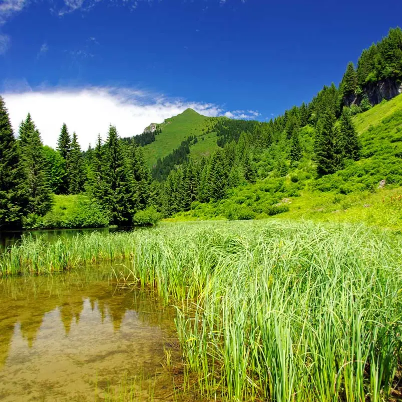 Le Lac de Damoz des Moulins au printemps
