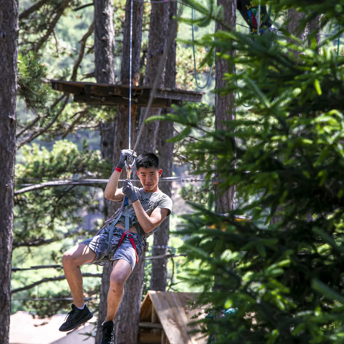 Parcours accrobranche