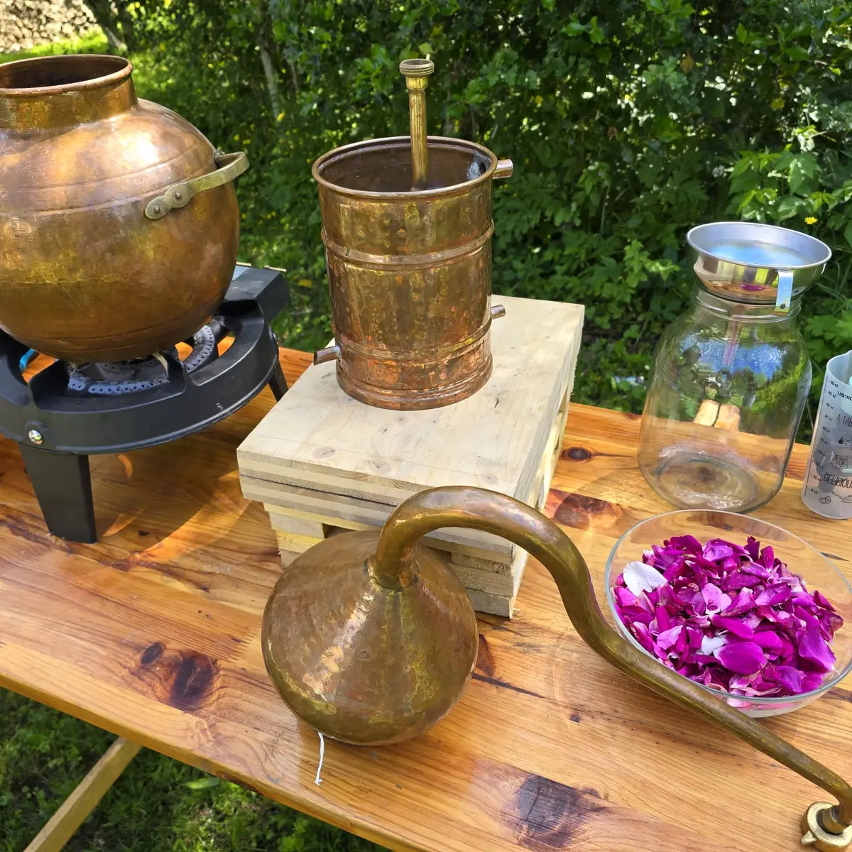 Atelier Découverte de la Distillation (hydrolats et huiles essentielles)_Habère-Poche