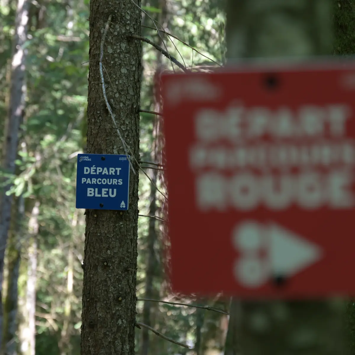 Balisage du ludoparc Parcours bleu et rouge