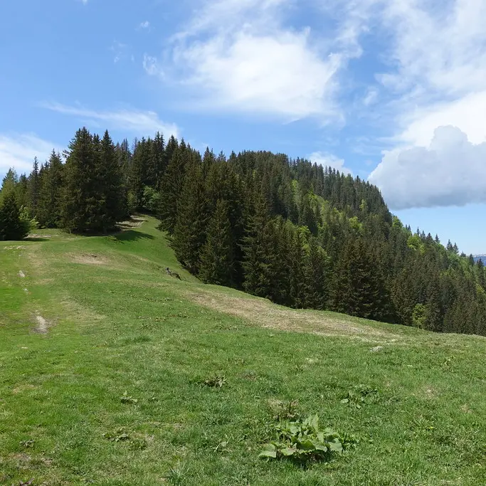 Paysage Tête du Danay - Photo sous licence Creative Commons https://creativecommons.org/licenses/by/2.0/