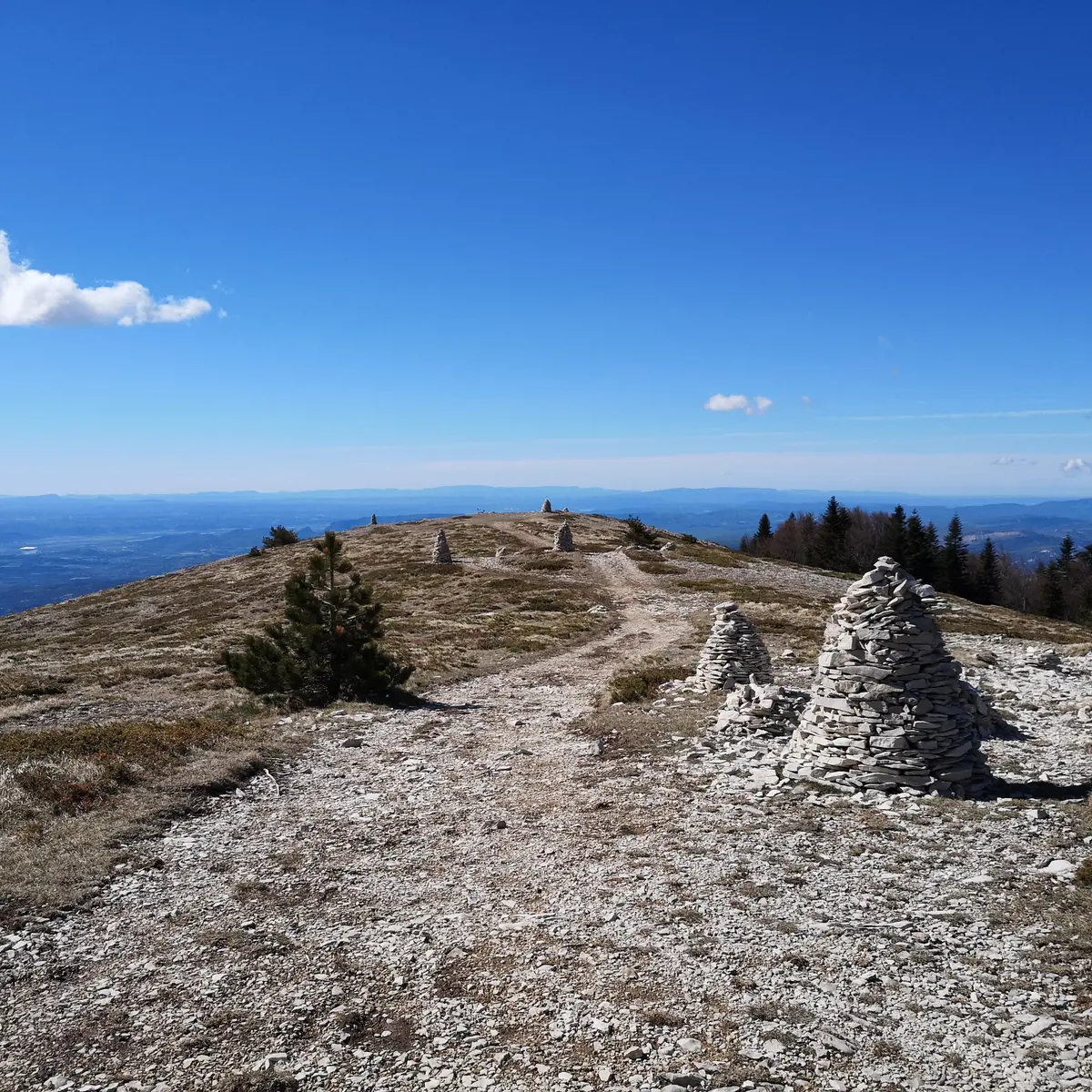 Cairn - Montagne de Lure
