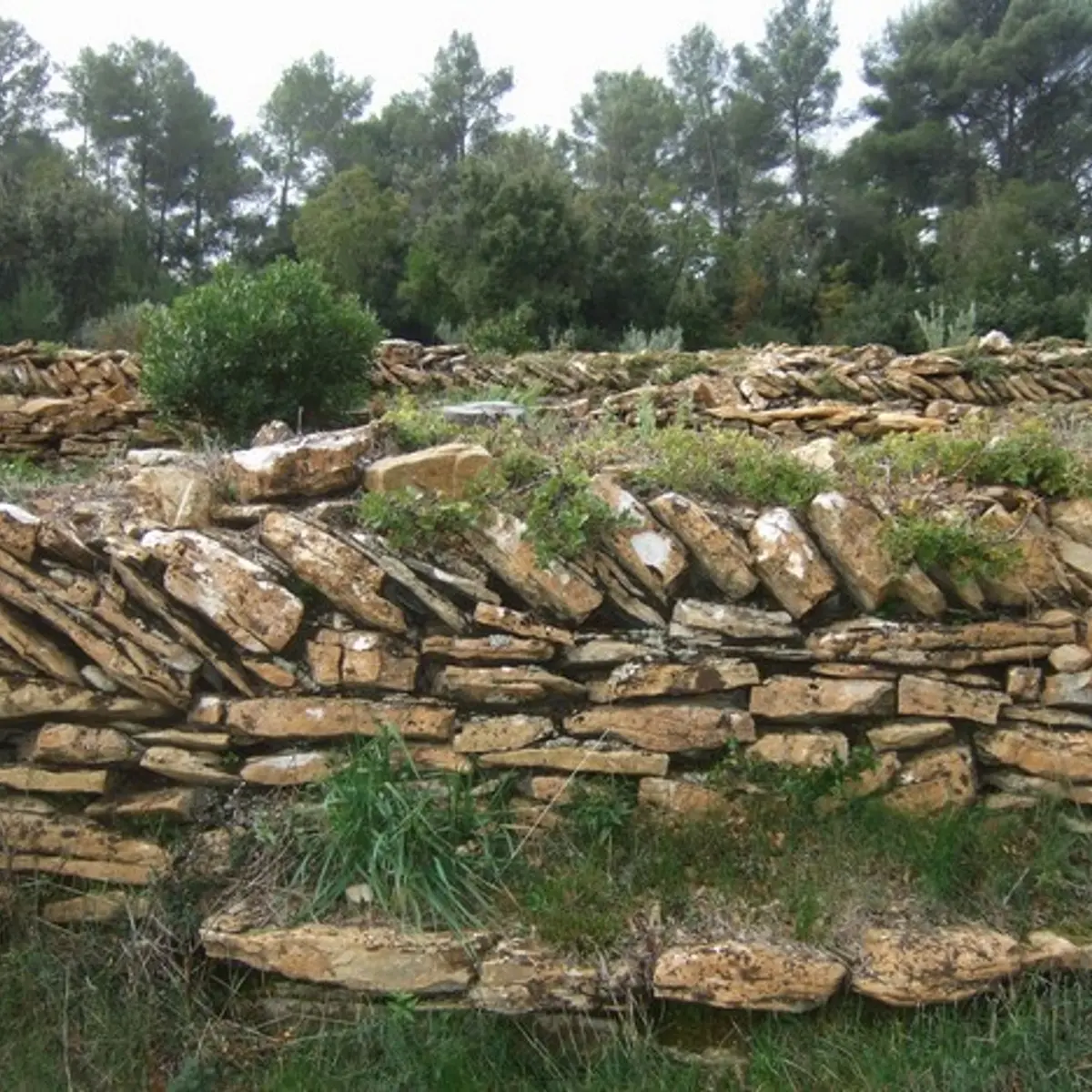 Restanques et murets autour de la maison des Quatre Frères