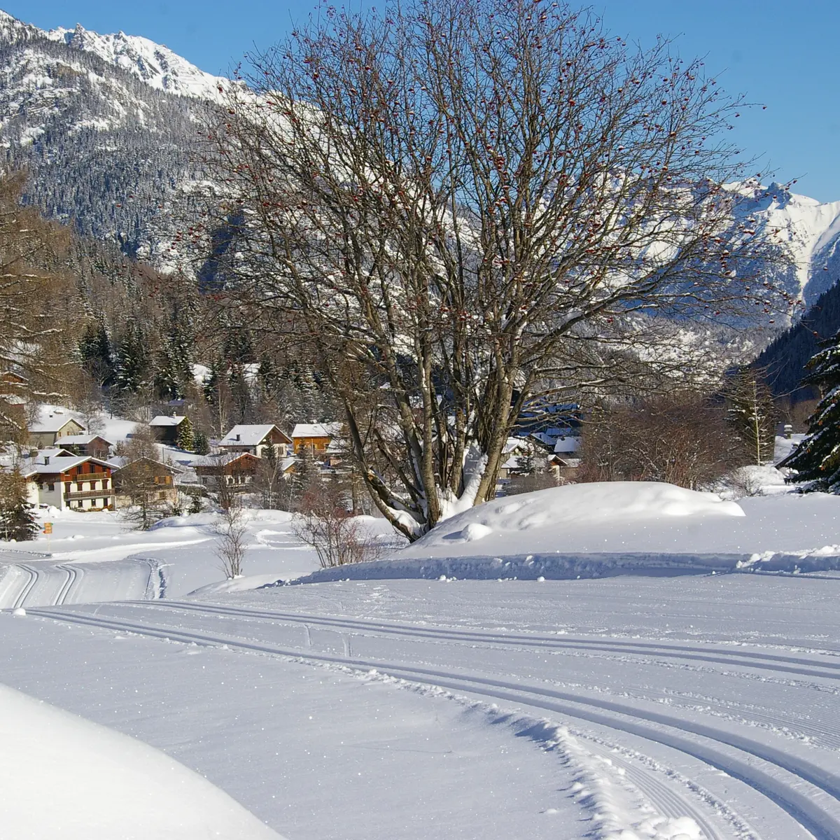 Vue sur la piste de fond avec de la neige fraiche