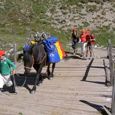 Rando équestre