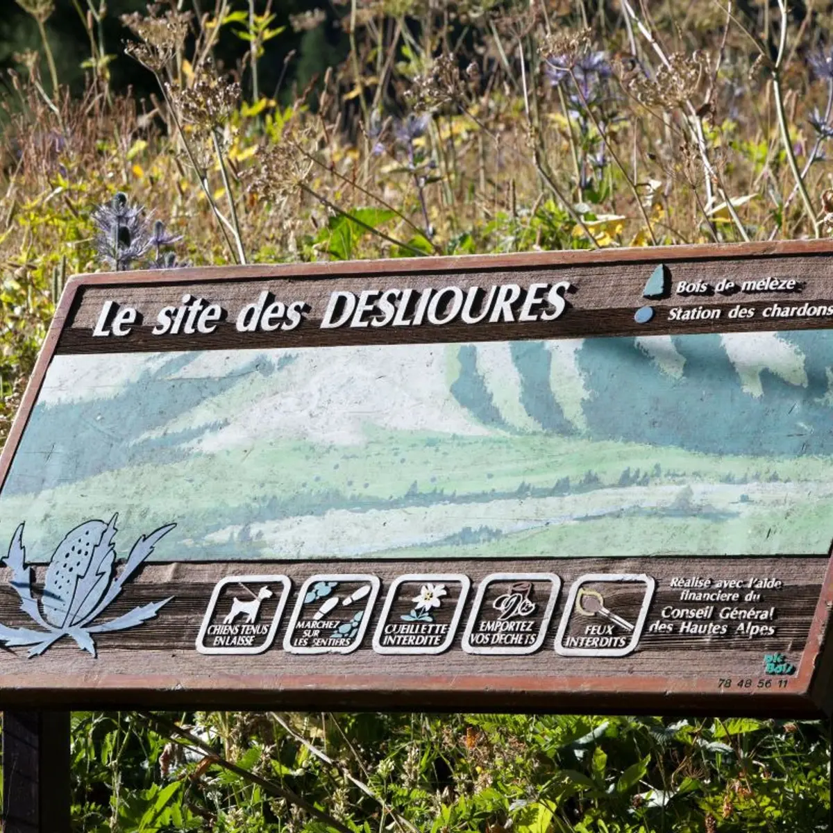 Réserve biologique des Deslioures