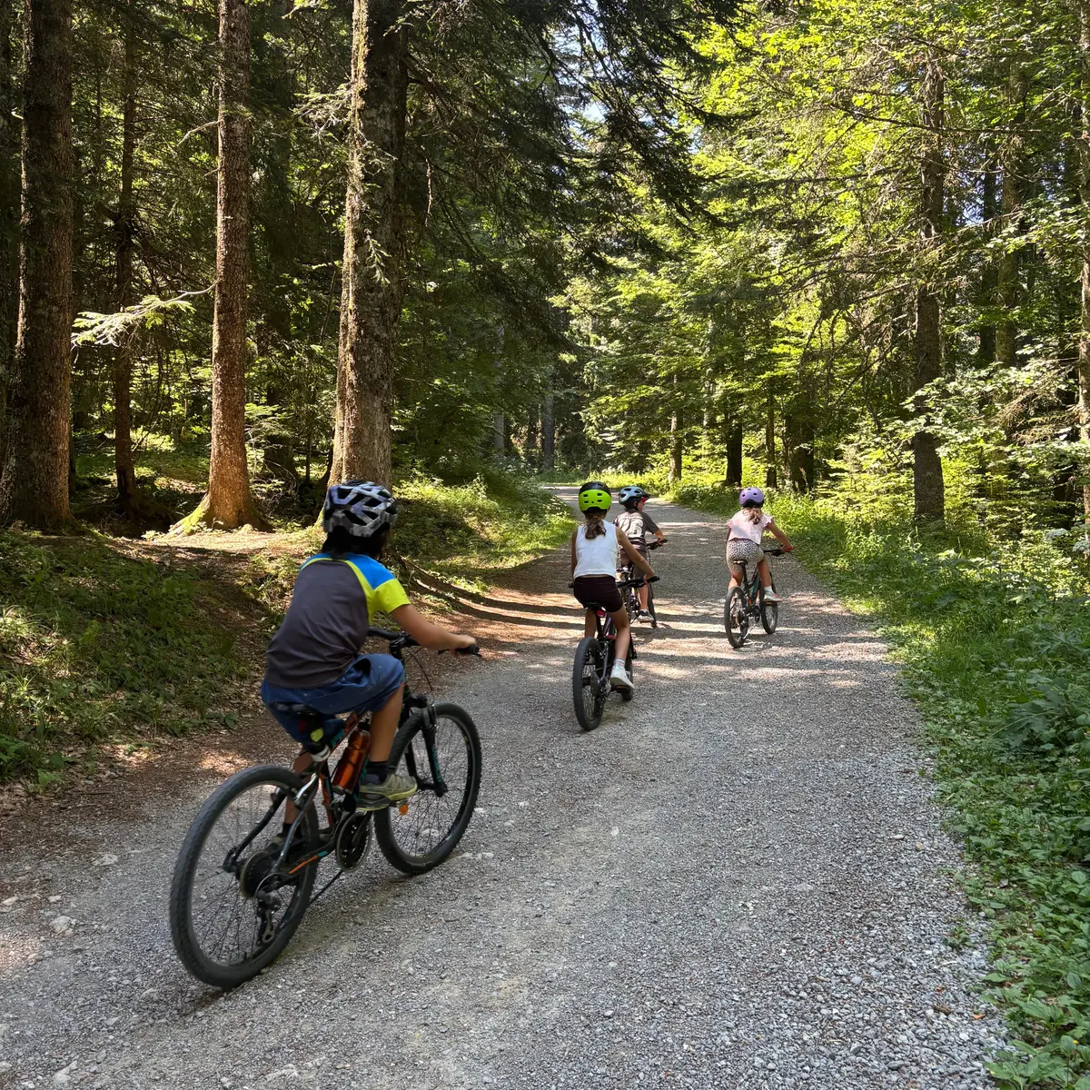 VTT
