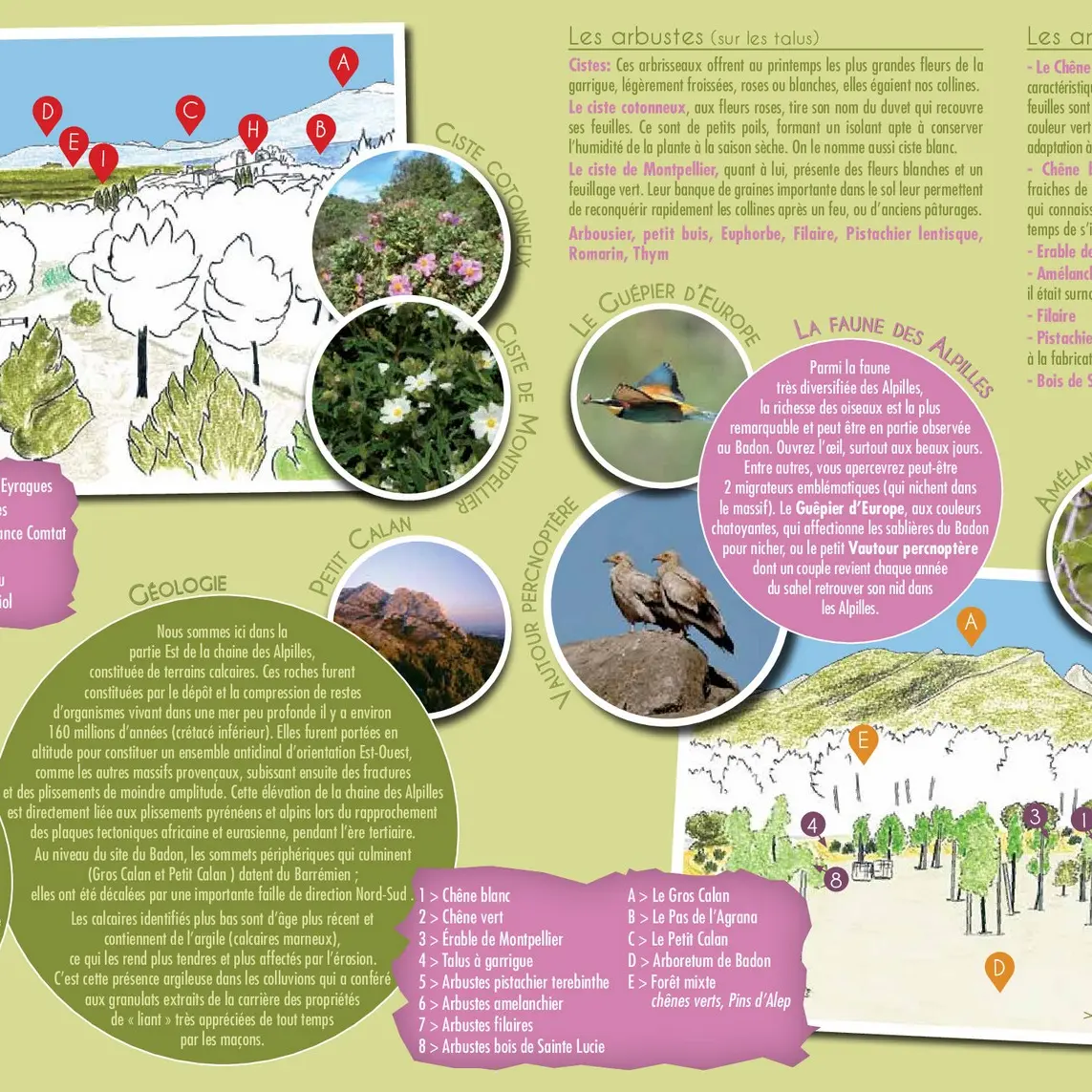 Brochure du PNRA Arboretum de Badon Eygalières