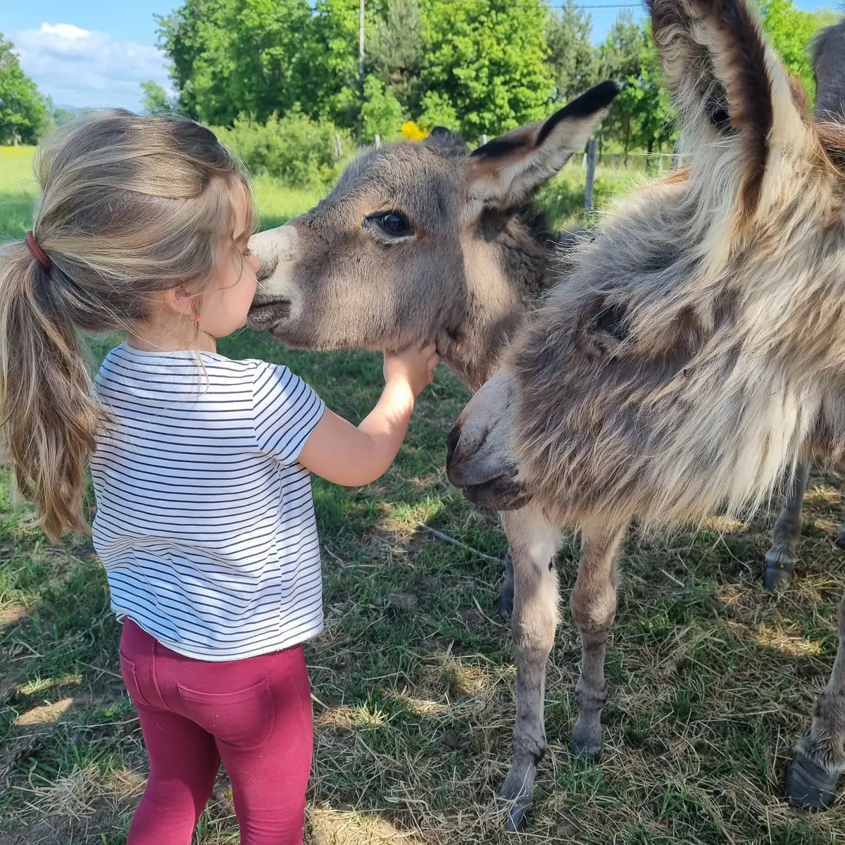 L'âne, un ami d'une grande douceur avec les enfants