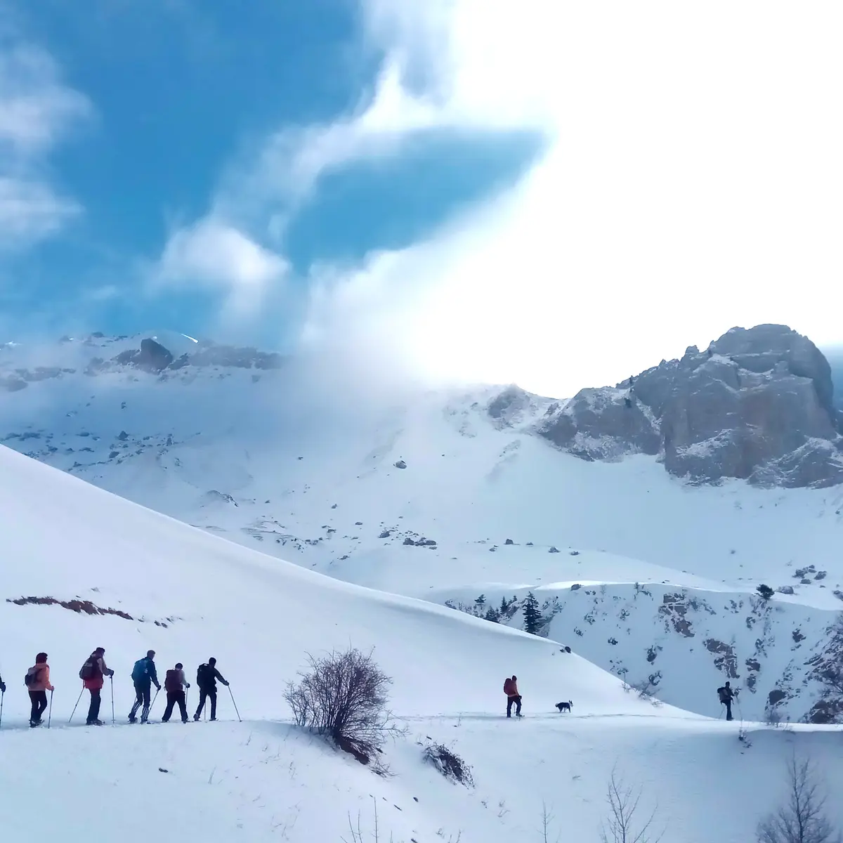 Rando raquettes Fleyrard