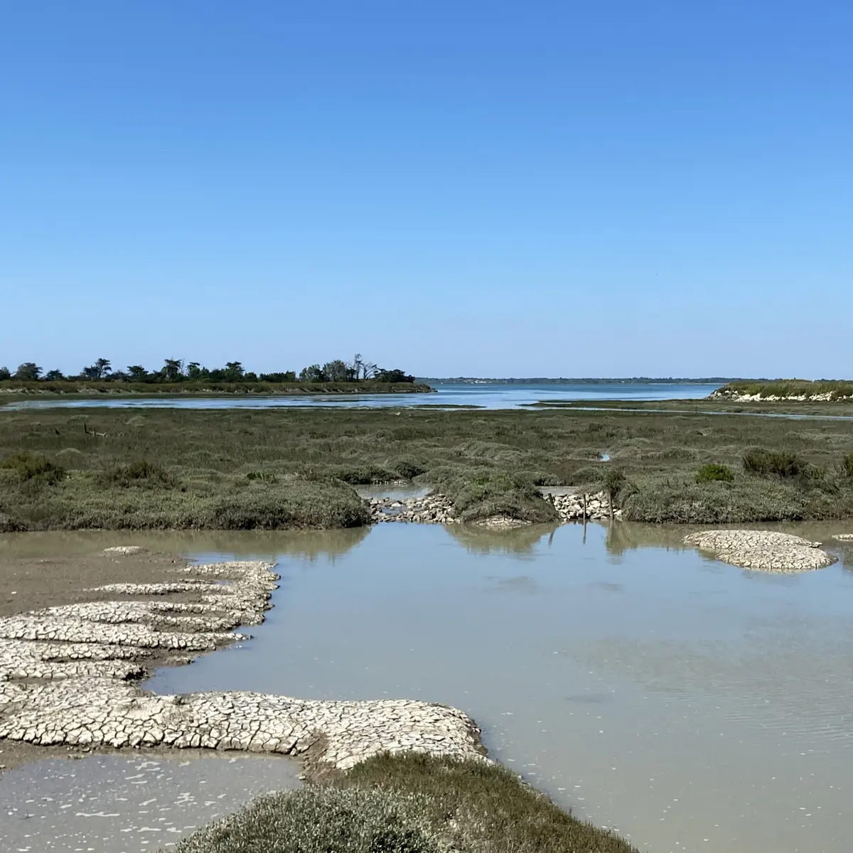 Pântanos y Fier d'Ars