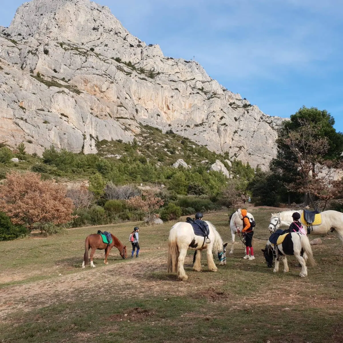 Écuries Finca Santa Victoria