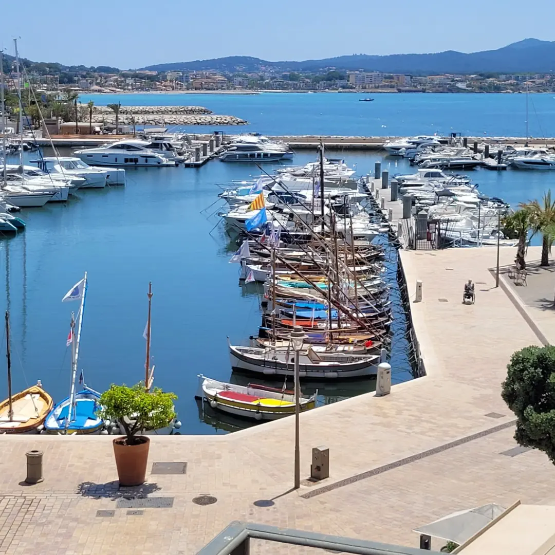 View from the terrace