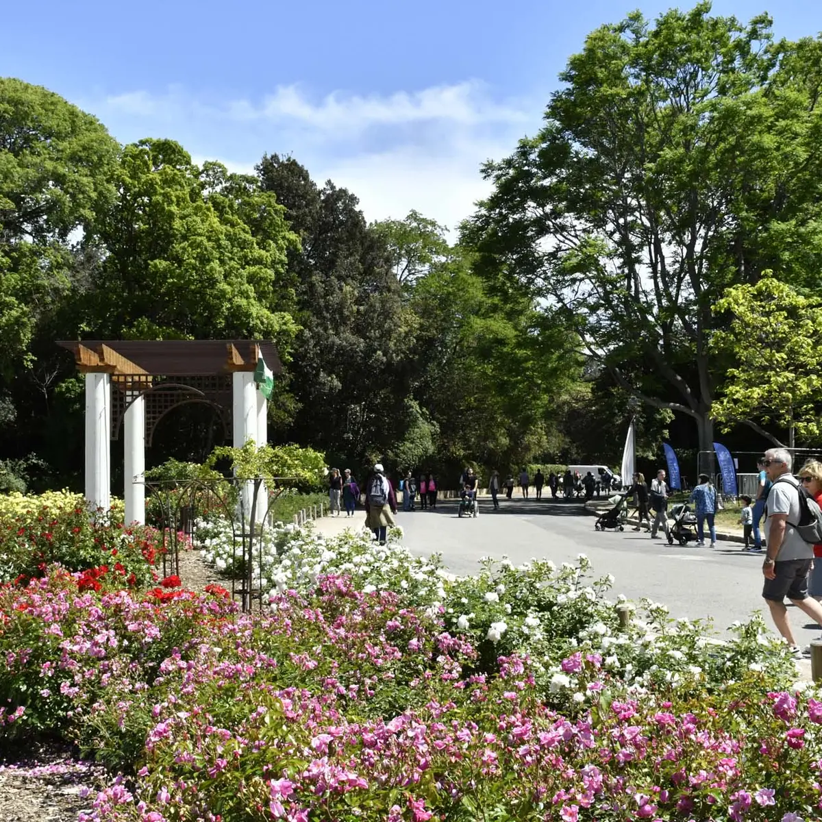 Parc Borély - Ville de Marseille