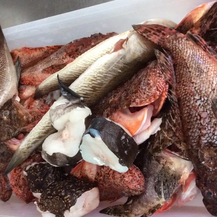 Restaurant l'Oliveraie