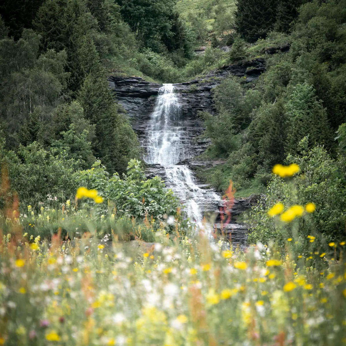 Cascade au dessus de Colombaz
