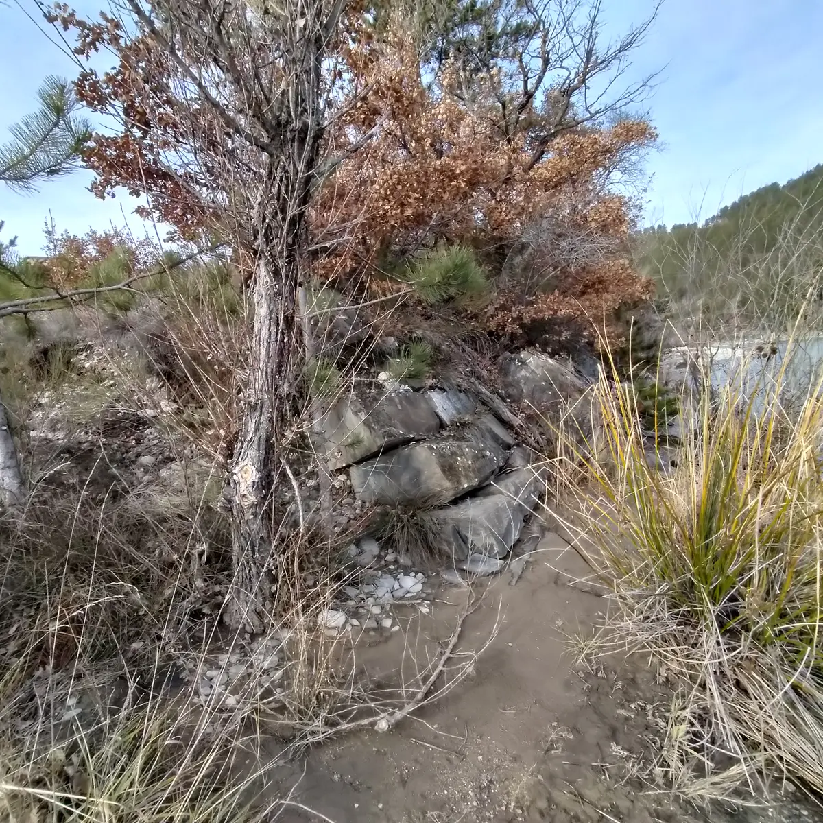 Emplacement de l'embarcadère
