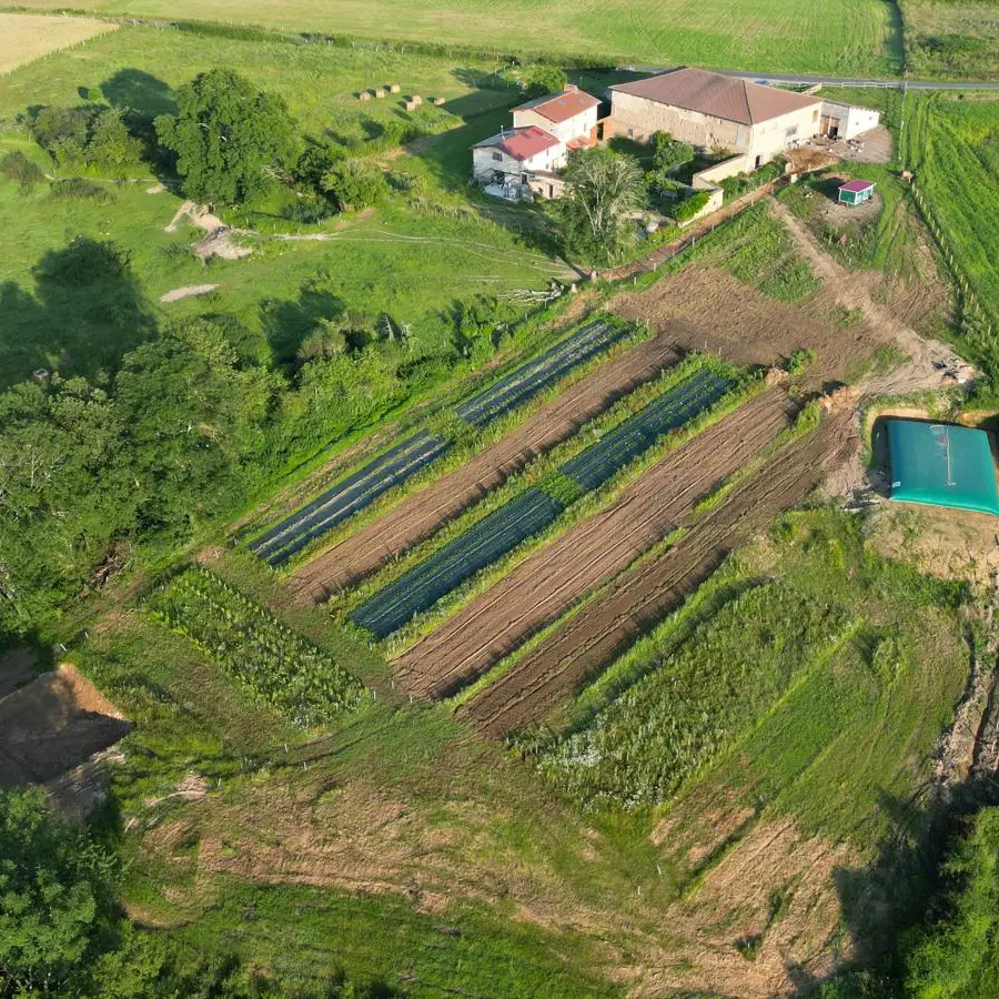 Le domaine du coq en pat