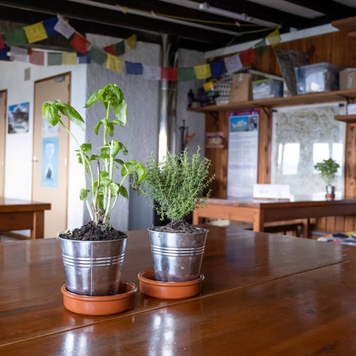 Le refuge de l'Olan, salle à manger
