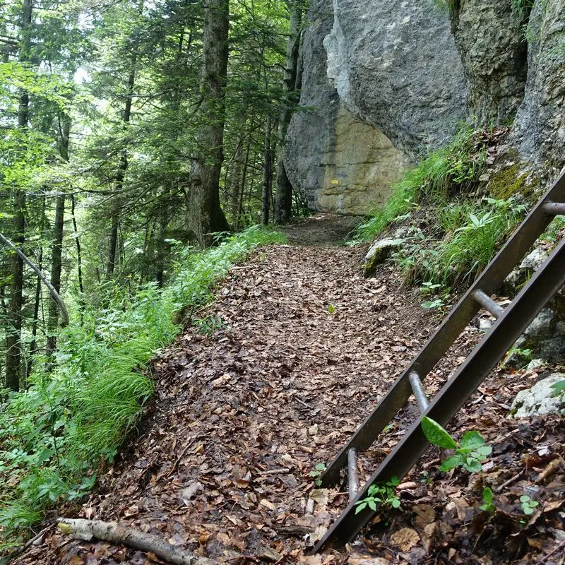 Arrivée aux échelles de Château Richard