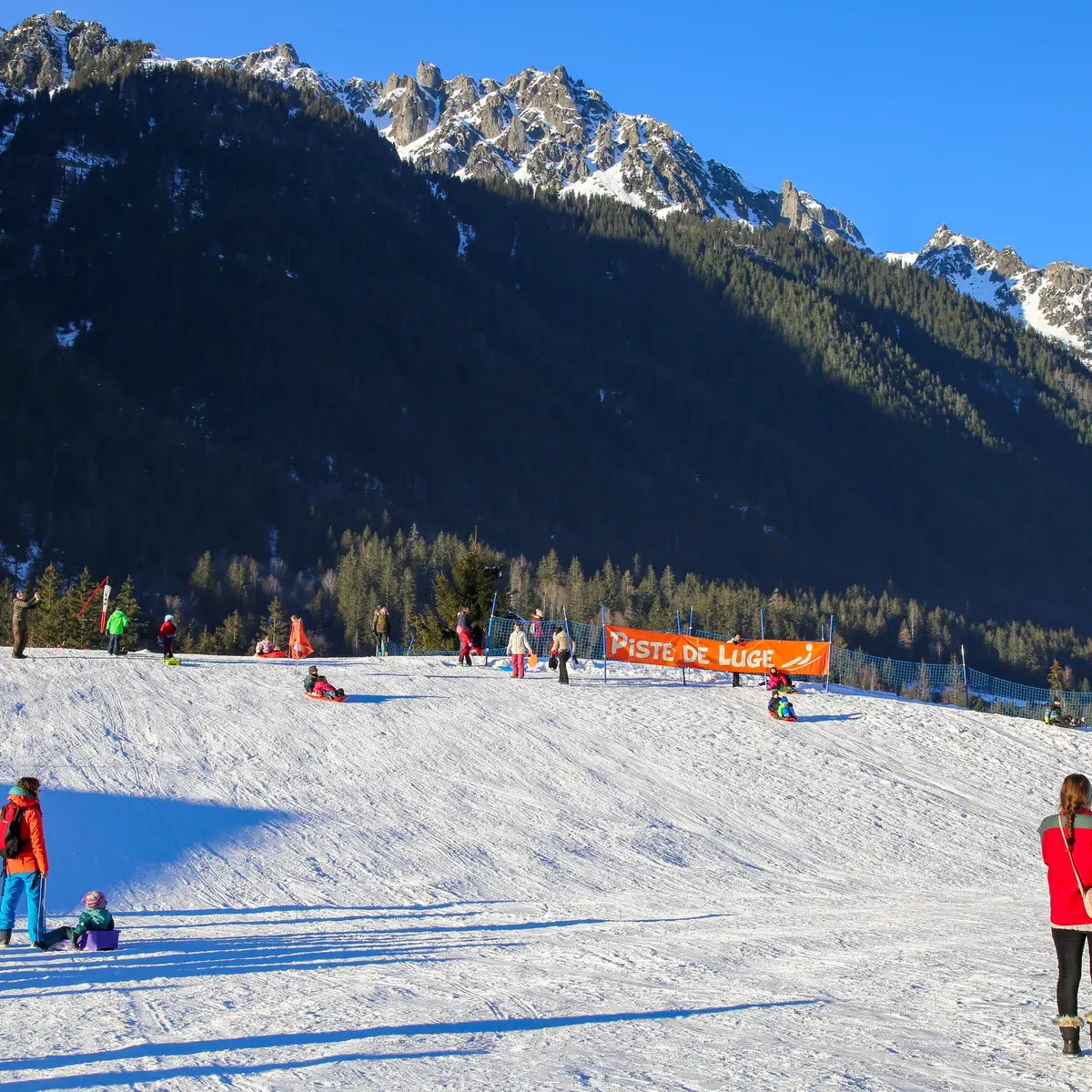 Luge Bois du Bouchet