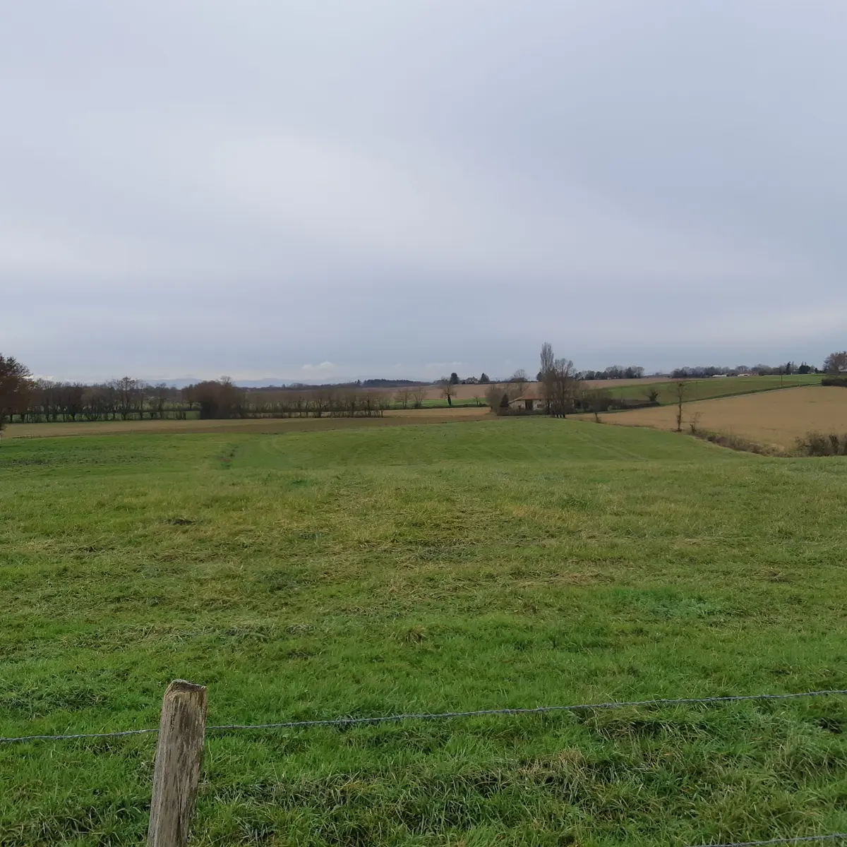 Marsonnas et le Bois de la Déserte