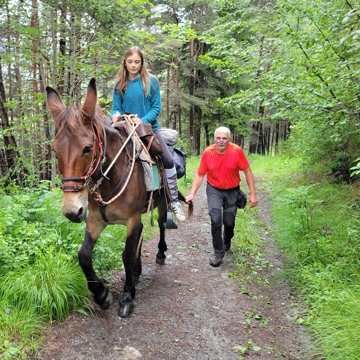 Les Crinières des Cimes