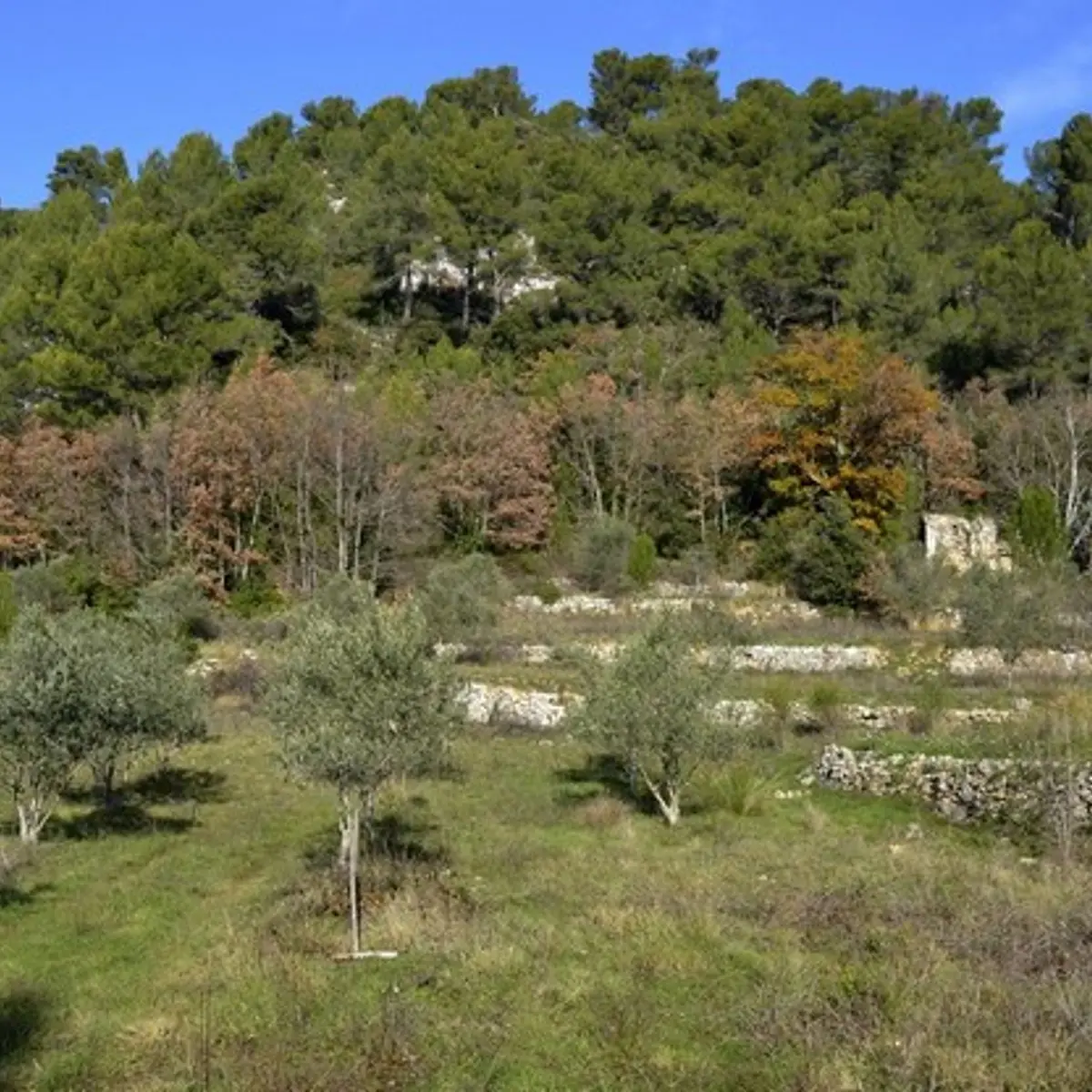 L’ancienne ferme de Mantelette