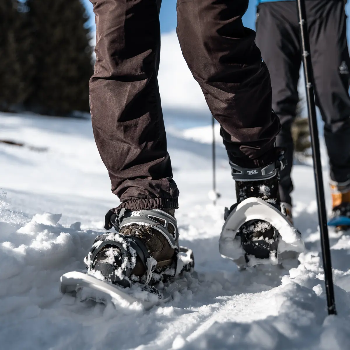 Sentiers raquettes au Grand-Bornand 21 : le balcon des Aravis