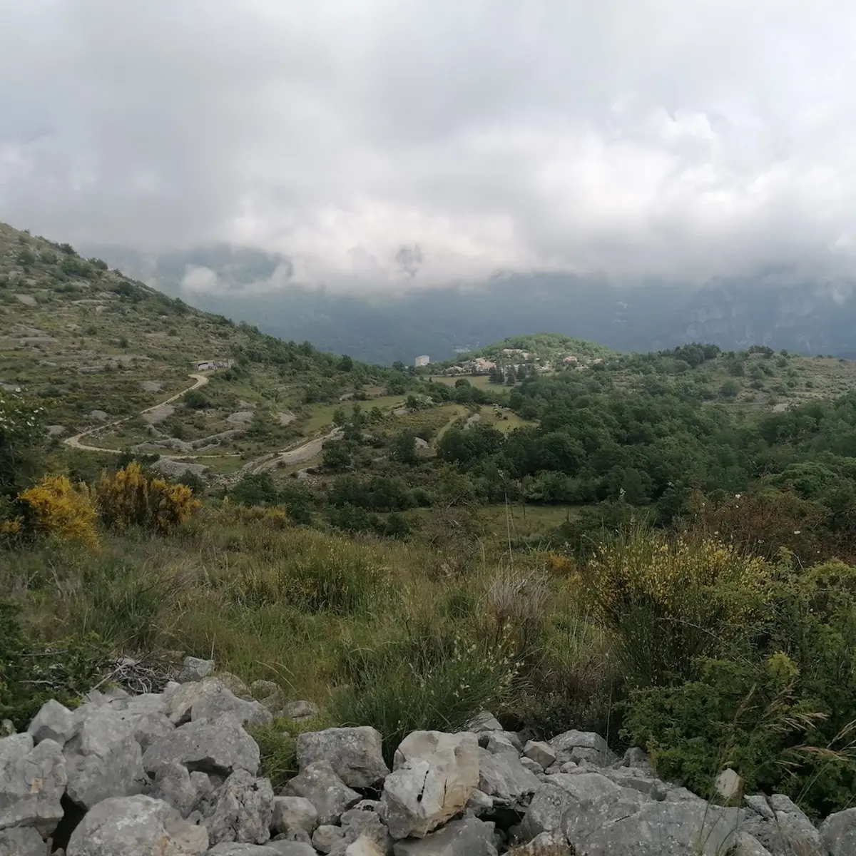 Vue sur Cipières