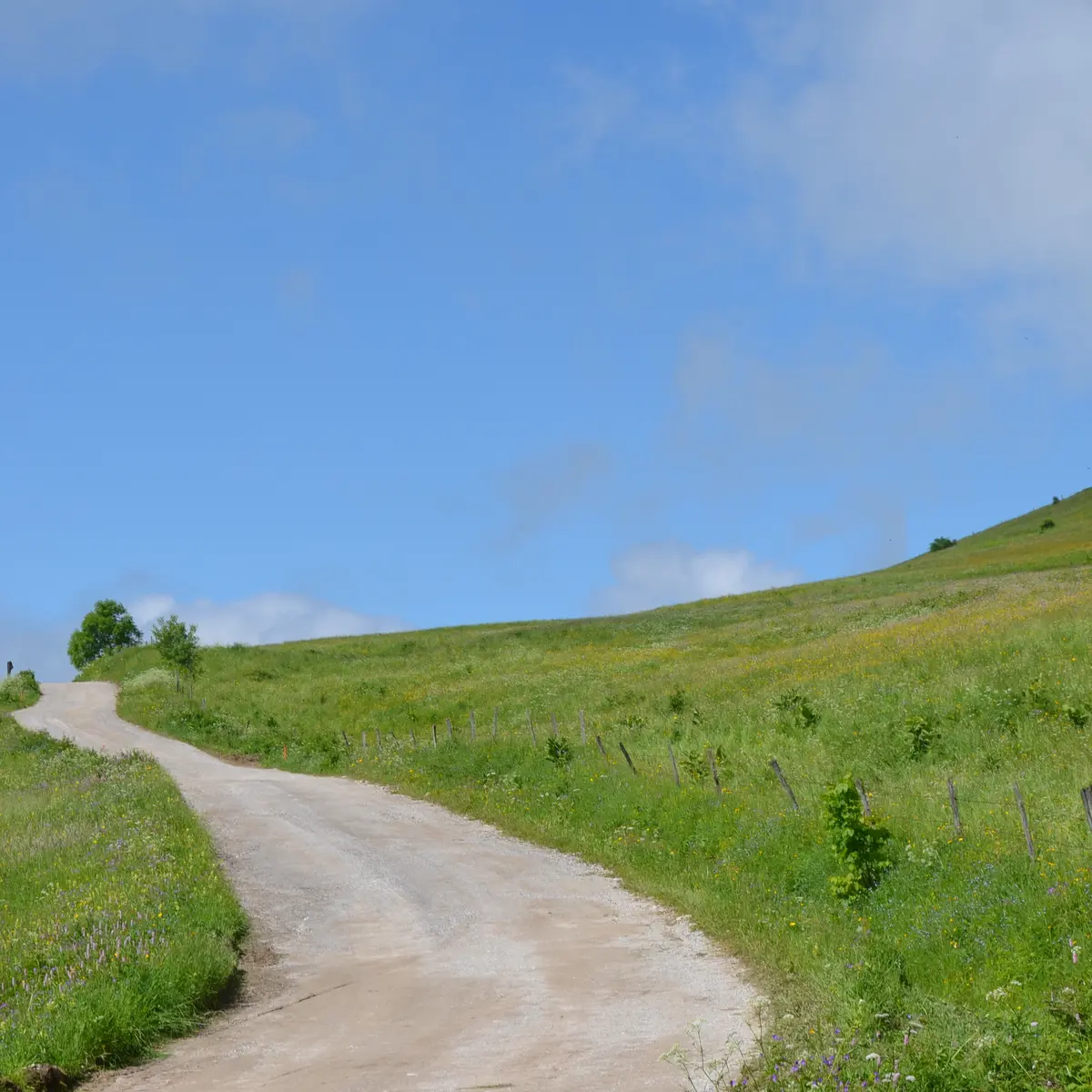 Parcours soft : Le Plateau des Glières_La Giettaz