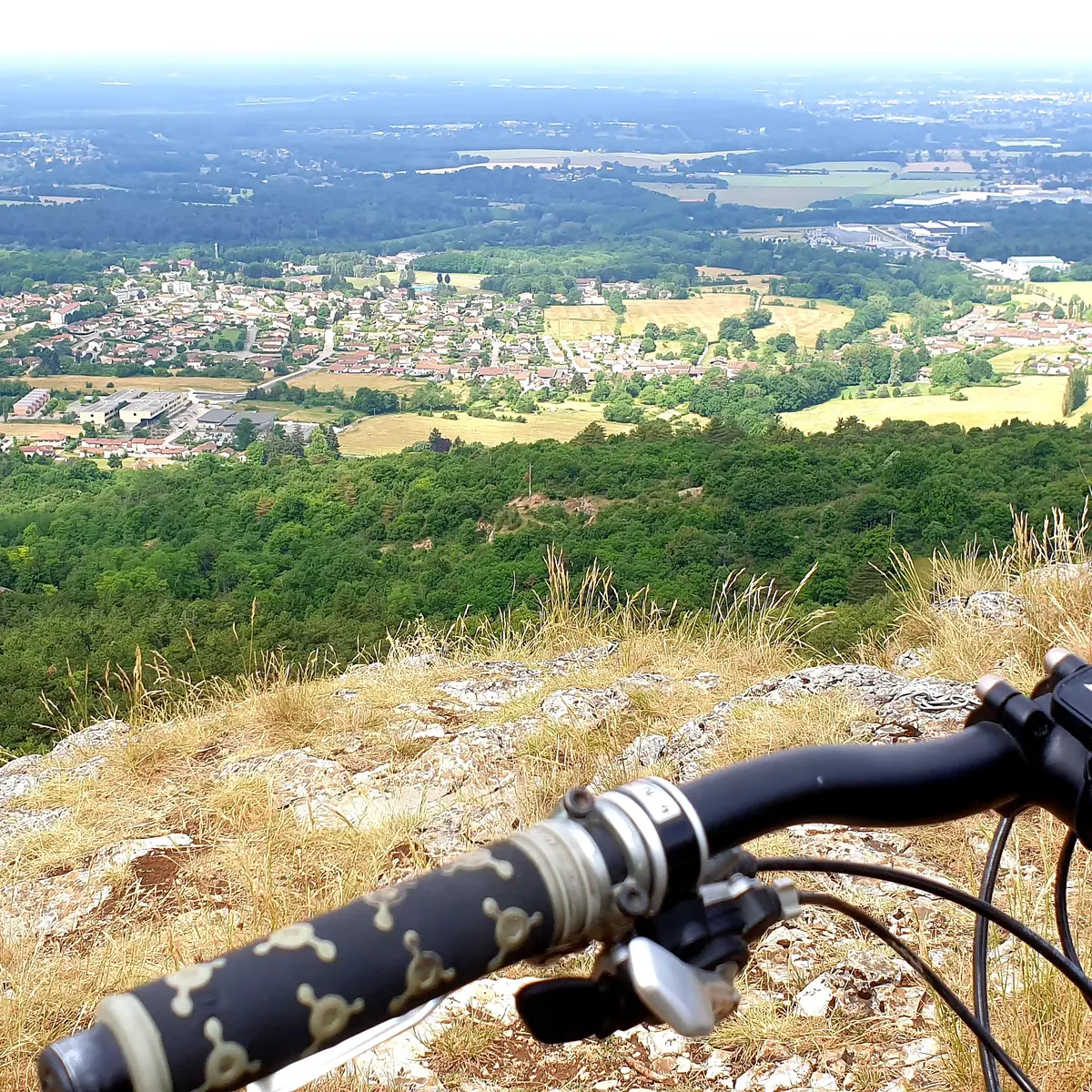 Panorama Mont July