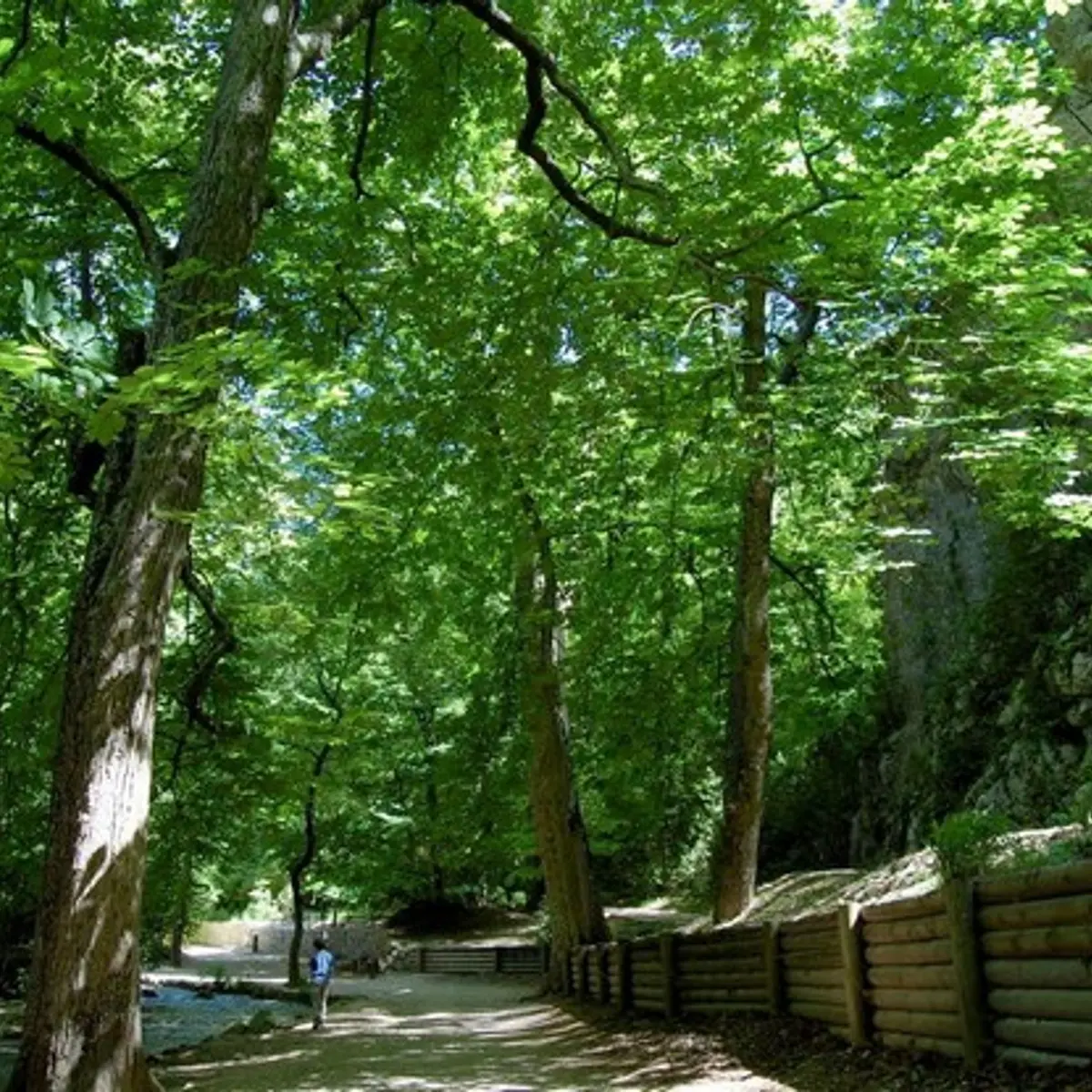 Le parc départemental de Saint-Pons