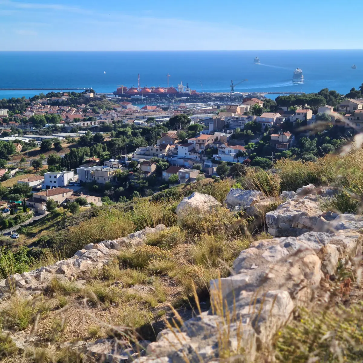 vue sur la rade de Marseille depuis le Verduron
