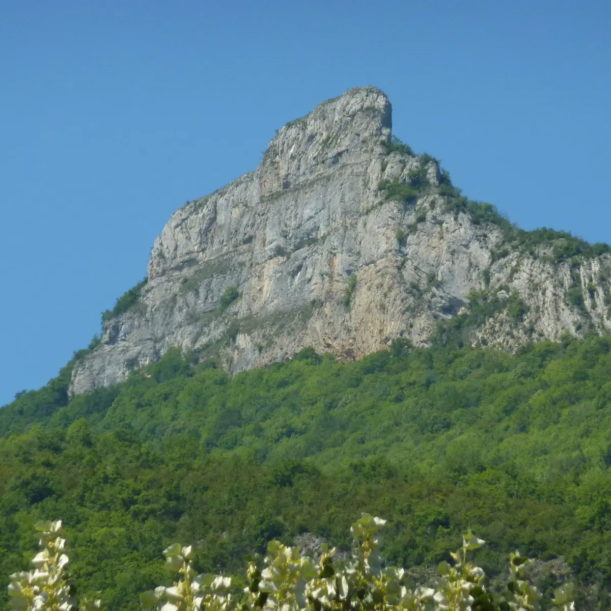 Béon