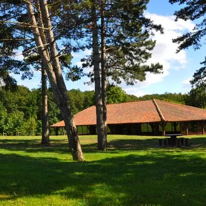 Grand Couvert Forêt de Lespinasse © Evelyne Deveaux