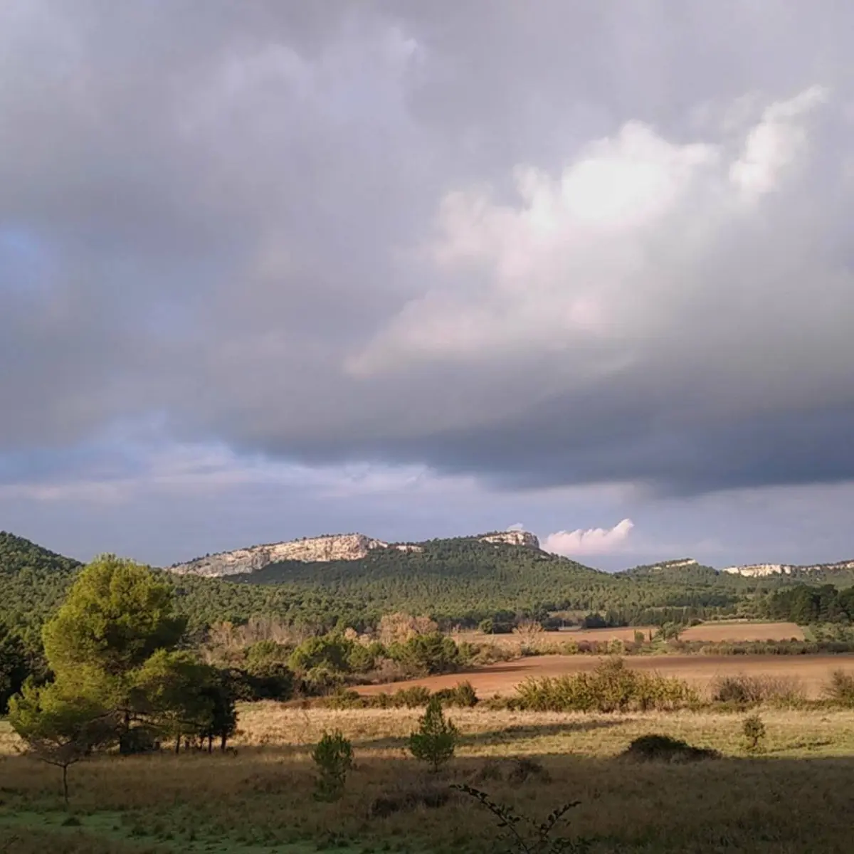 Vue sur le Mont Paon et les Baux